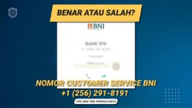 BENAR ATAU SALAH NOMOR WHATSAPP BNI +1 (256) 291-8191 SEBAGAI CUSTOMER SERVICE?