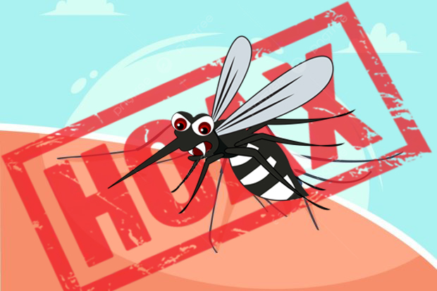 Mengenal Nyamuk Wolbachia yang Dijadikan Hoaks Senjata Pembunuh Manusia